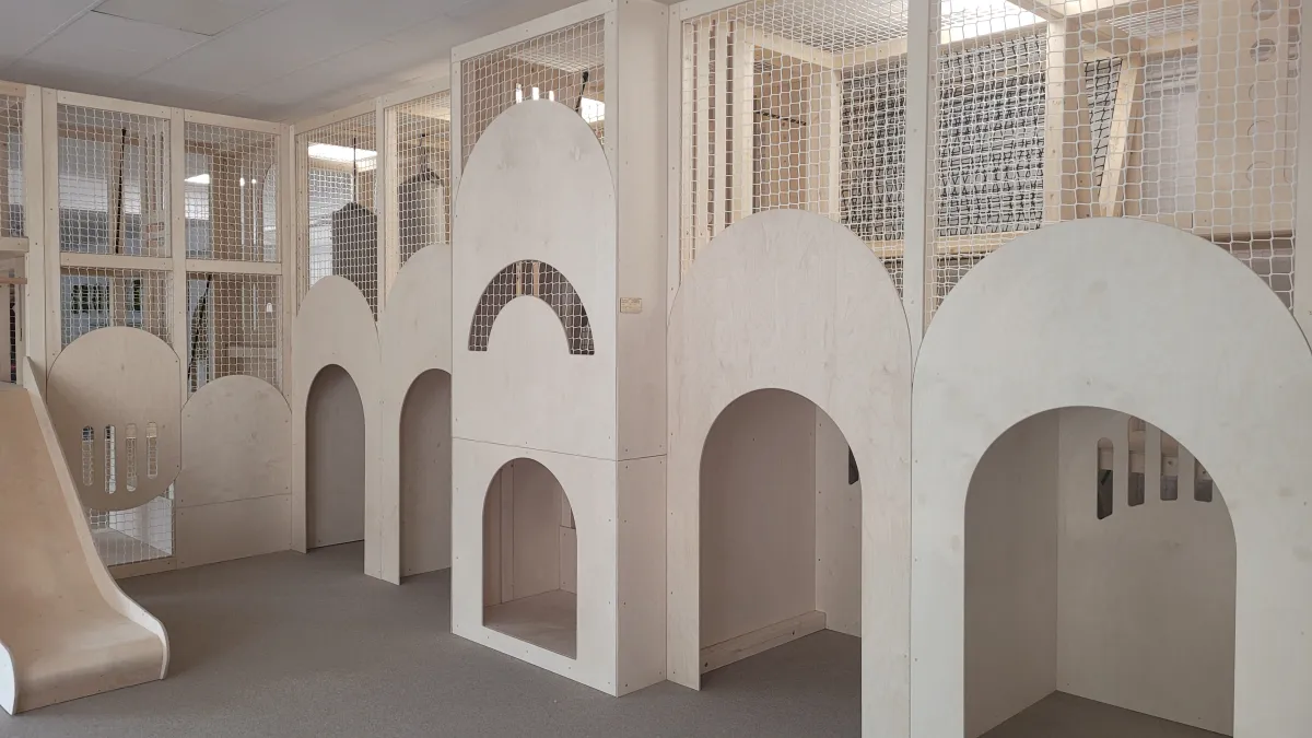 Realizacja DAPAL – Konstrukcje drewniane Skoczek 38